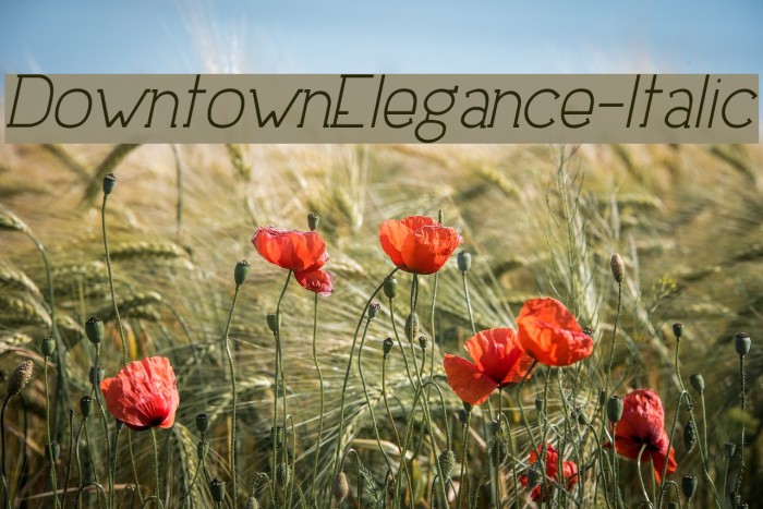 DowntownElegance-Italic Caratteri examples