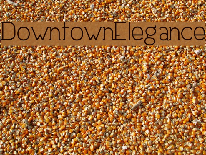 DowntownElegance Font examples