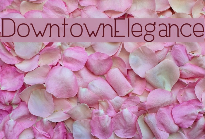 DowntownElegance Font examples