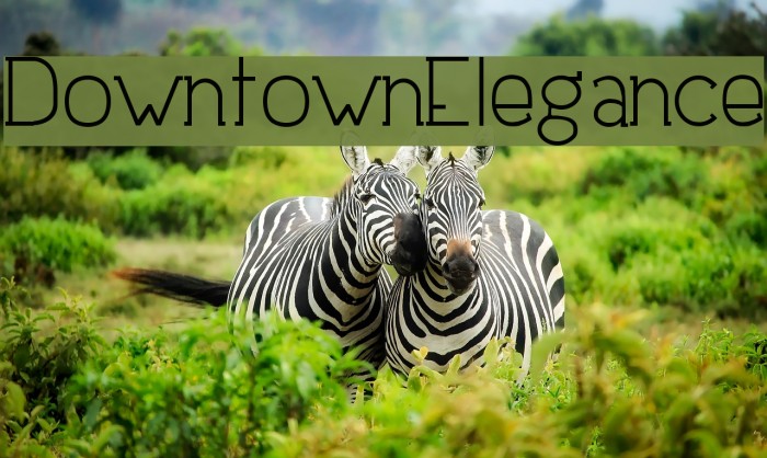 DowntownElegance Font examples