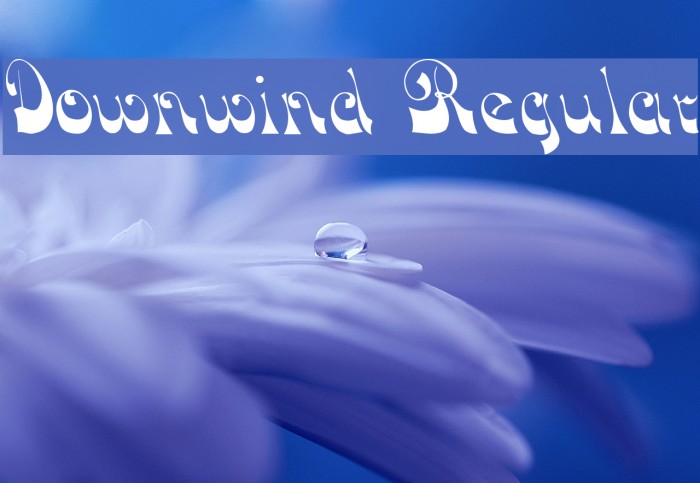 Downwind Regular Polices examples