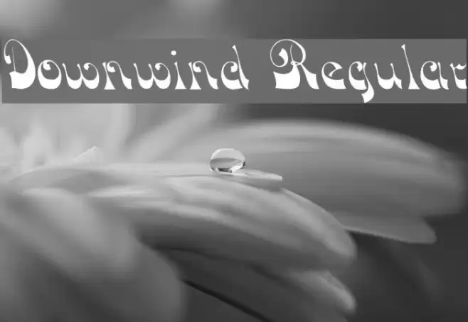 Downwind Regular Font examples