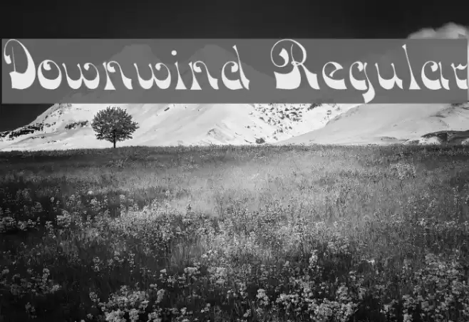 Downwind Regular Font examples