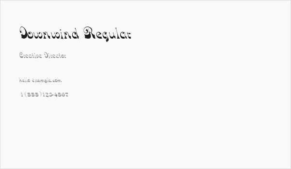 Downwind Regular Business Card