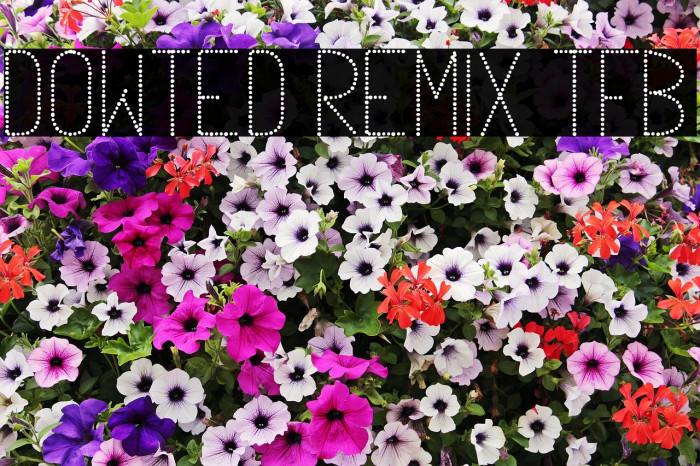 Dowted remix tfb Font examples