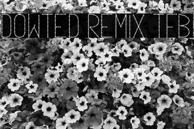 Dowted remix tfb Example 1