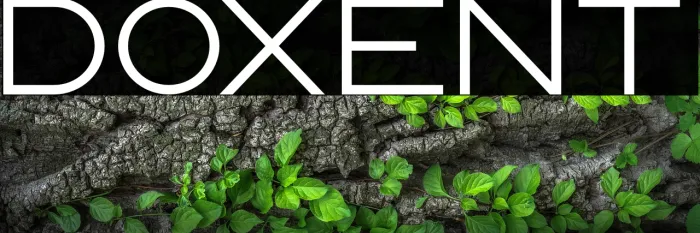 Doxent Example 1