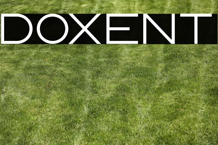 Doxent Example 3