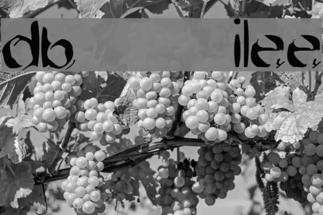 dob Filetype Font examples