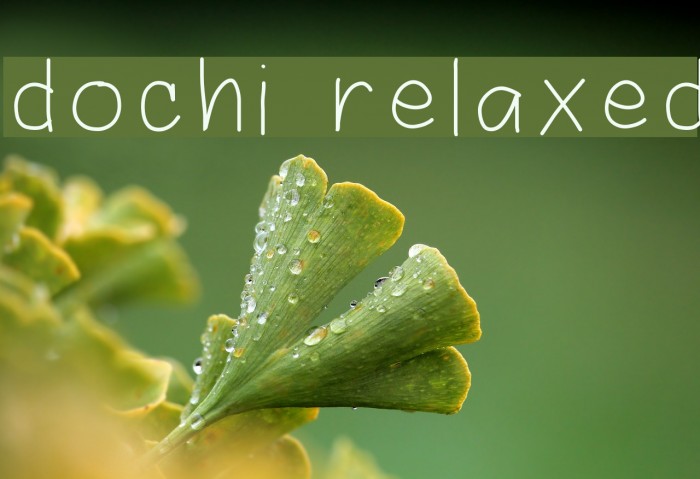 dochi relaxed Font examples