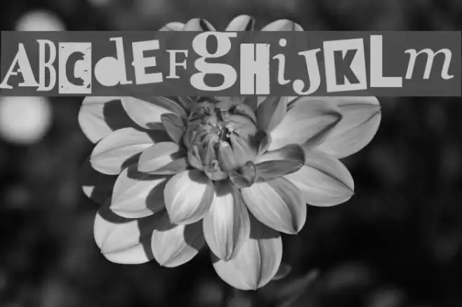 doctor punk Font examples