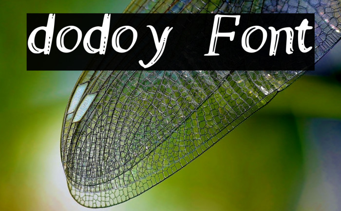 dodoy Font examples