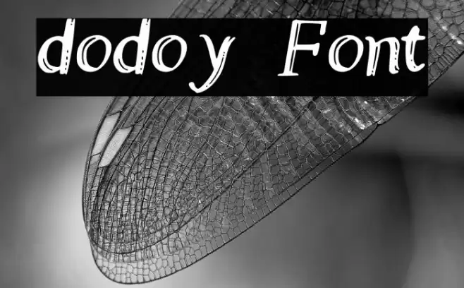 dodoy Font examples
