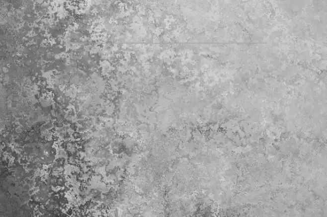 dog_csp Font examples