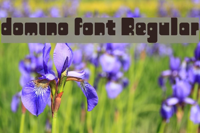 domino font Regular Example 3