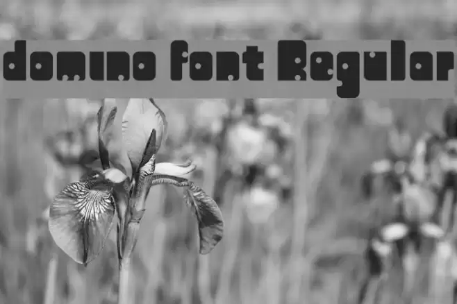 domino font Regular Font examples