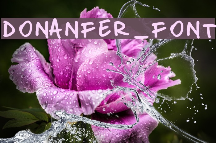 donanfer_font Font examples
