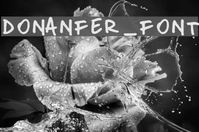 donanfer_font Example 2