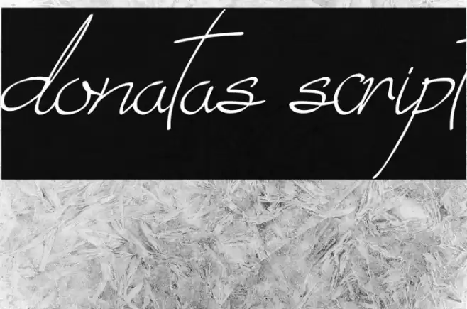 donatas script Font examples
