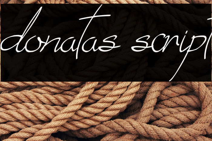 donatas script Example 3