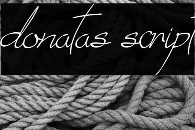 donatas script Font examples