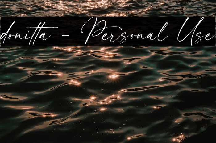 donitta - Personal Use Example 1