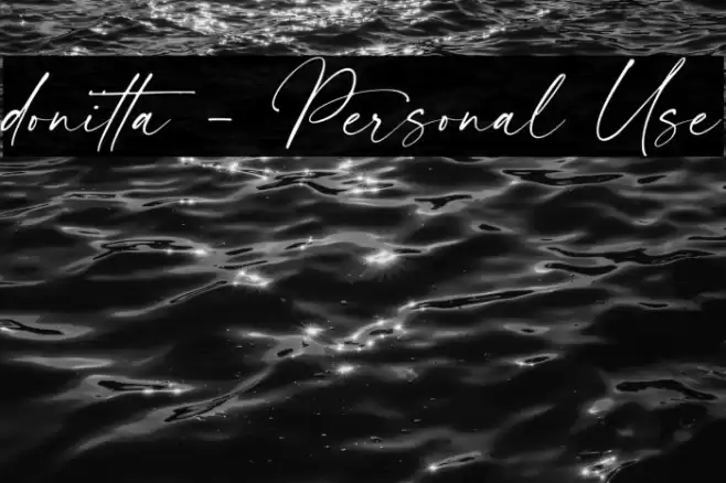 donitta - Personal Use Font examples