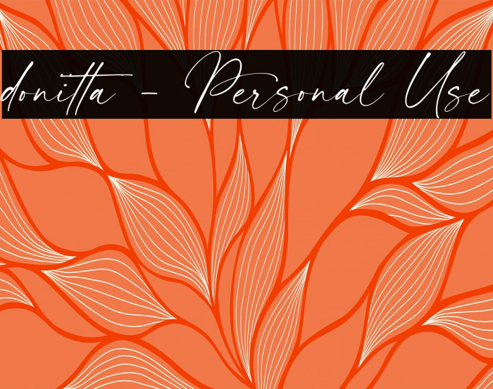 donitta - Personal Use Example 2