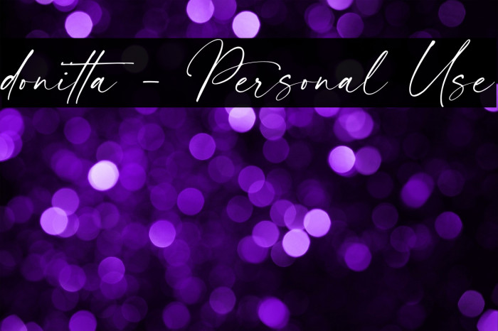 donitta - Personal Use Example 3