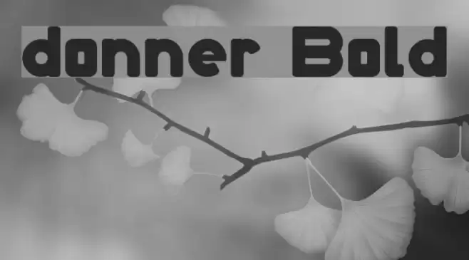 donner Bold Font examples
