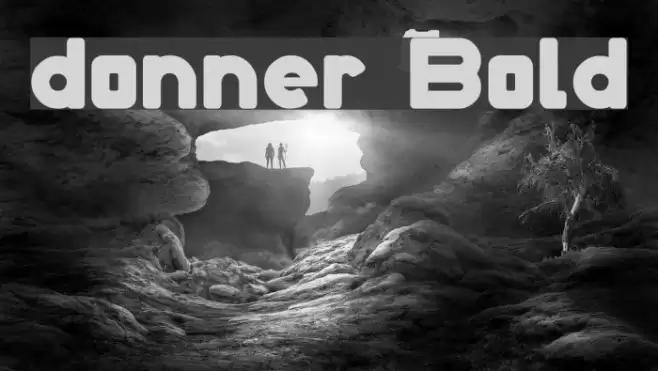 donner Bold Font examples