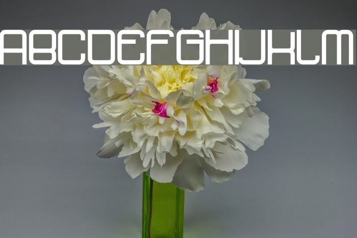dopenakedfoul Font examples