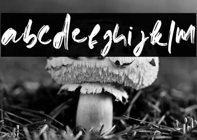 doremibrush-Regular Font examples