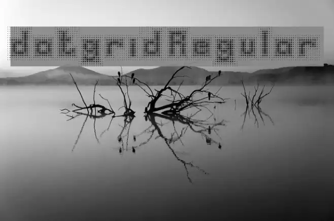 dotgrid Regular Example 1