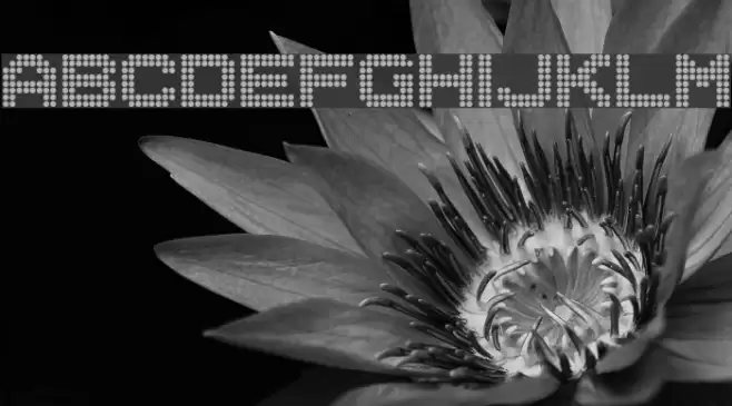 dotspecial Font examples