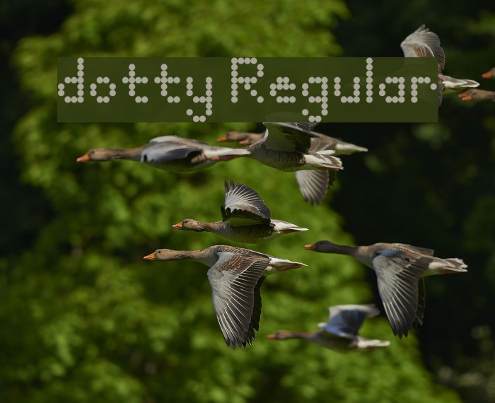 dotty Regular Font examples