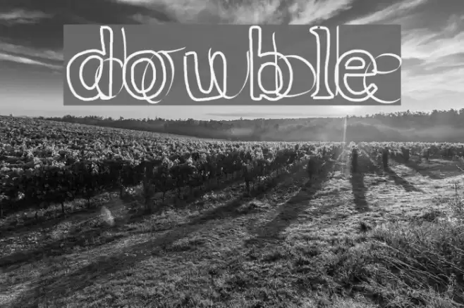 double Font examples