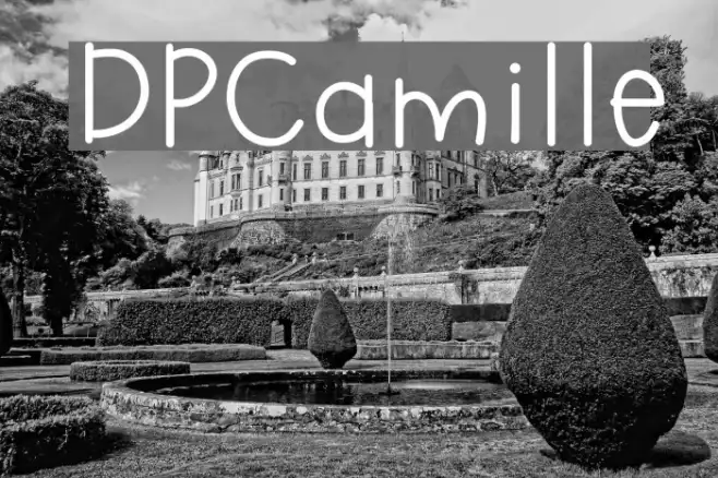DPCamille Example 1