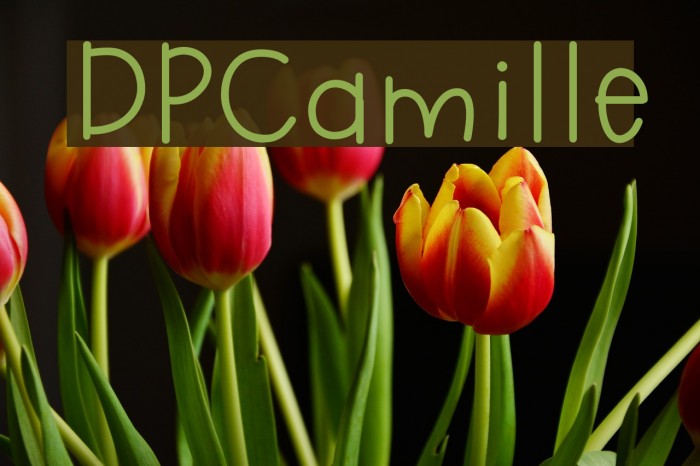 DPCamille Font examples