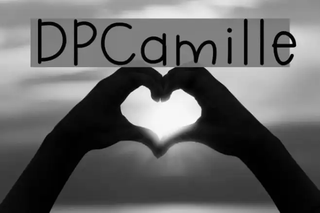 DPCamille Example 3