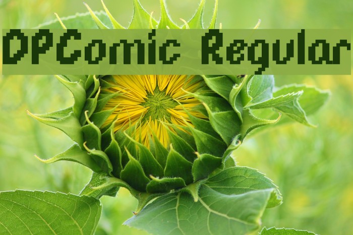 DPComic Regular Font examples