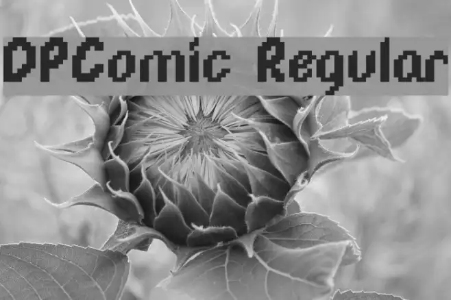 DPComic Regular Example 2