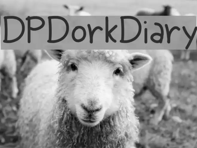 DPDorkDiary Example 1