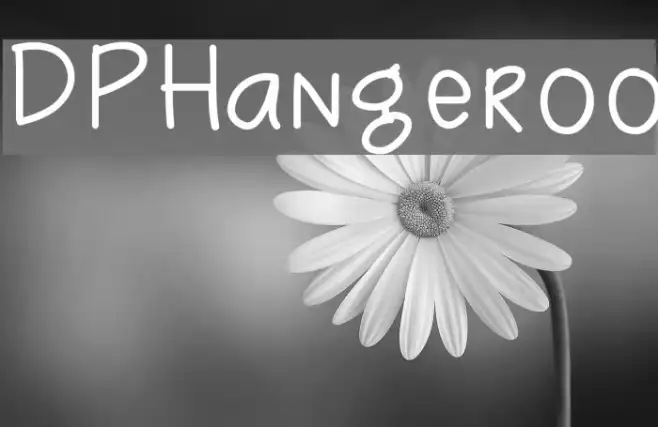 DPHangeroo Example 1