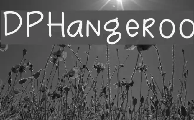 DPHangeroo Example 3