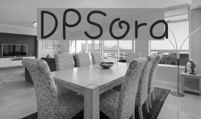 DPSora examples