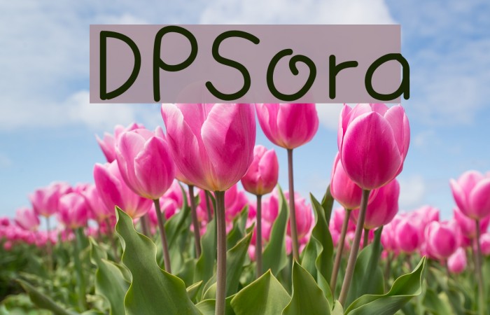 DPSora Font examples