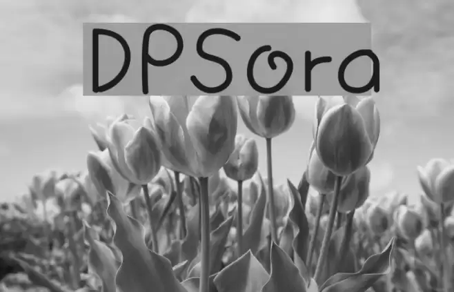DPSora examples