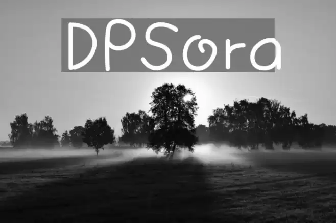 DPSora examples