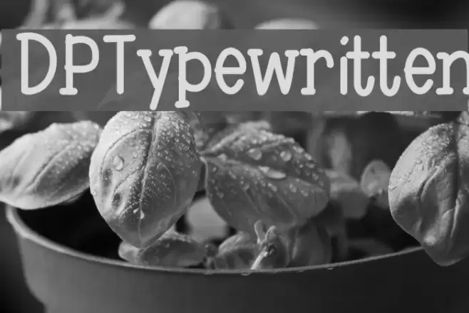 DPTypewritten Font examples